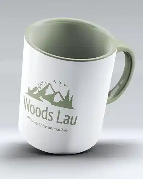 Agence de communication, Graphisme